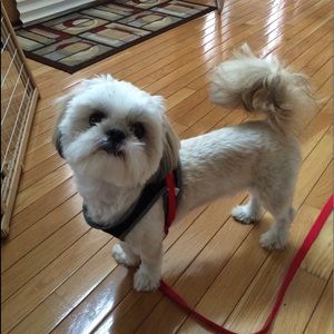 Meet your Posher, Angela